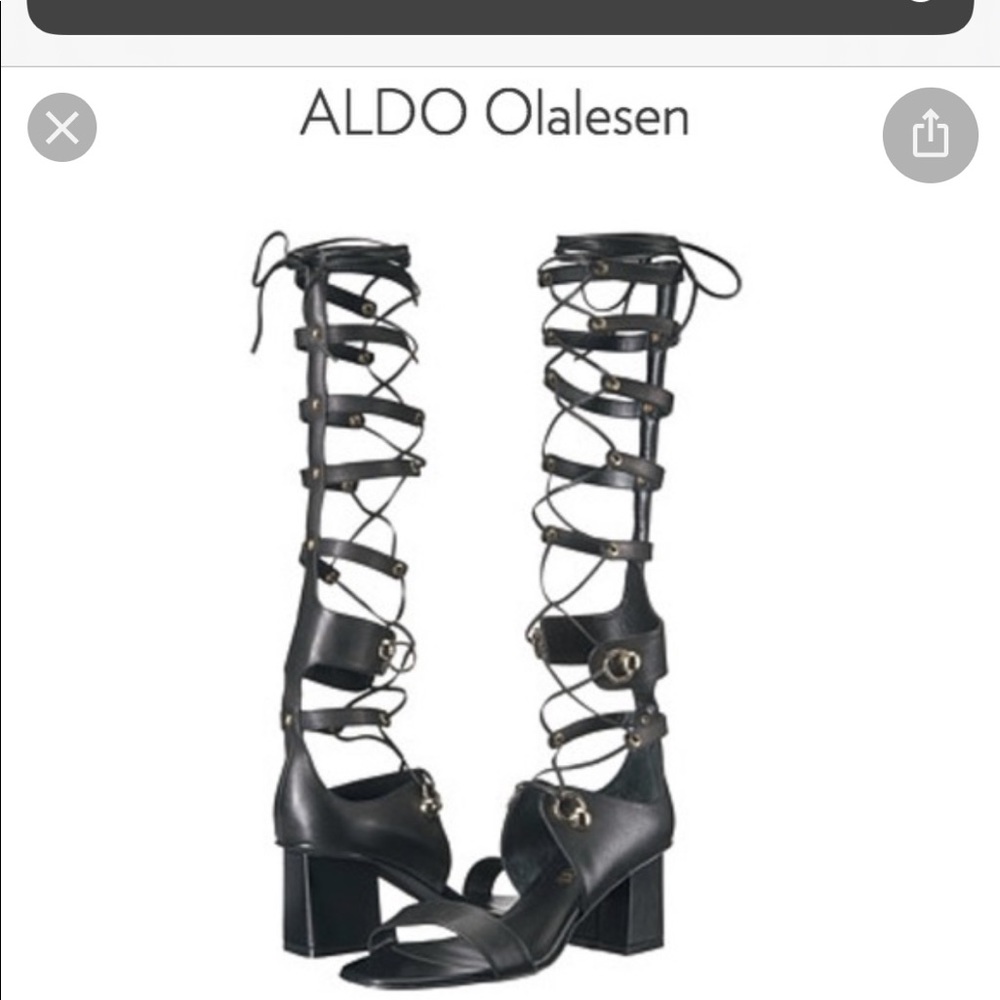 Aldo Olalesen Limited Edition Gladiator